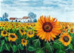 Girasoles: Acuarela 30x21